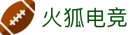 火狐电竞 - 点燃电竞激情，赛出体育精神